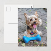 Cute Terrier Briefkaart (Voorkant / Achterkant)