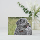 Cute Terrier Dog Briefkaart (Staand voorkant)
