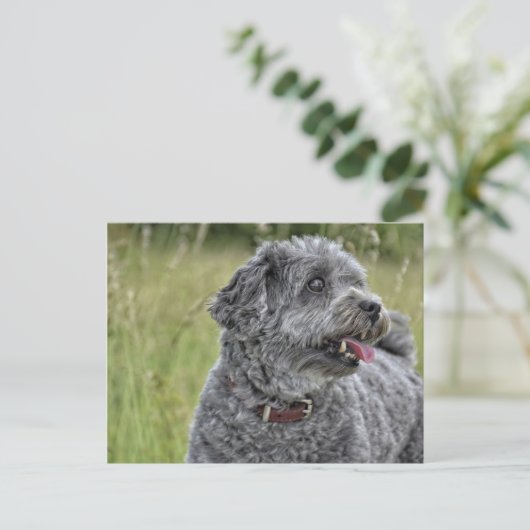 Cute Terrier Dog Briefkaart (Staand voorkant)