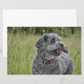 Cute Terrier Dog Briefpapier (Voorkant / Achterkant)
