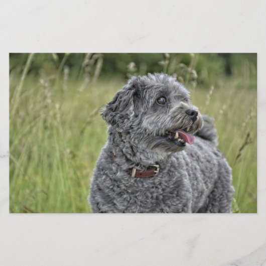 Cute Terrier Dog Briefpapier (Voorkant)