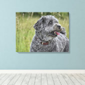 Cute Terrier Dog Canvas Afdruk (Insitu (Houten vloer))