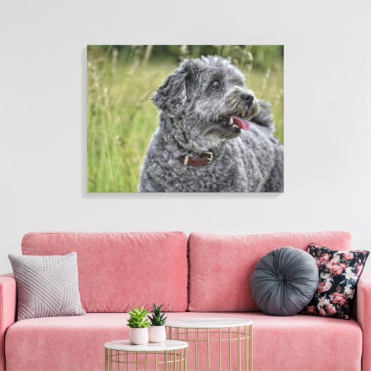 Cute Terrier Dog Canvas Afdruk (Insitu (Woonkamer))