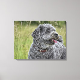 Cute Terrier Dog Canvas Afdruk
