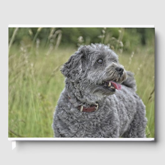 Cute Terrier Dog Gastenboek (Voorkant)