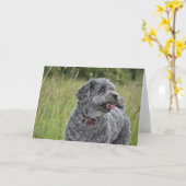 Cute Terrier Dog Kaart (Gele Bloem)