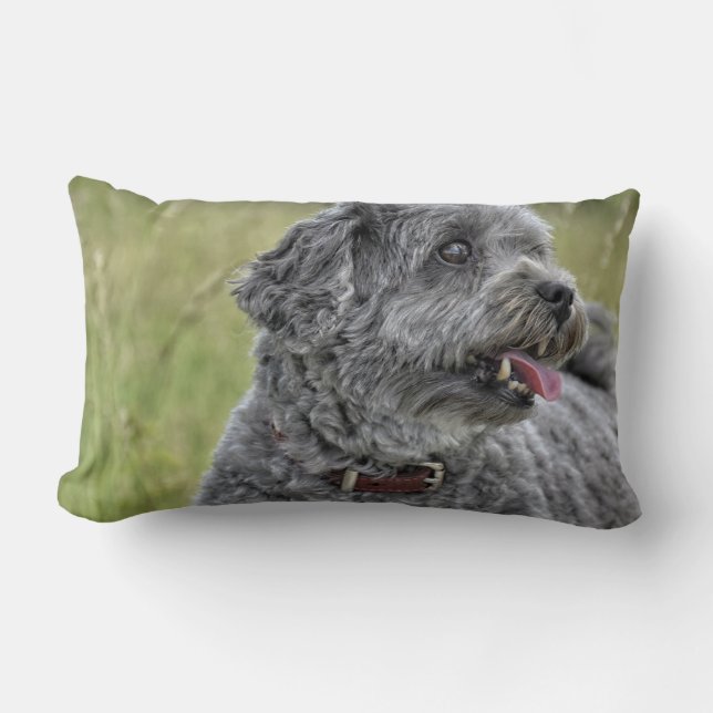 Cute Terrier Dog Kussen (Voorkant)