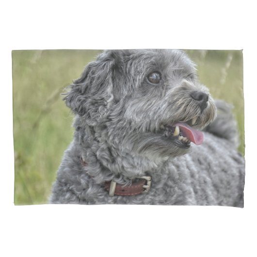 Cute Terrier Dog Kussensloop (Voorkant)