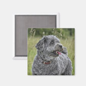 Cute Terrier Dog Magneet (Voorkant / Achterkant)