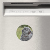 Cute Terrier Dog Magneet (Insitu (Vaatwasser))