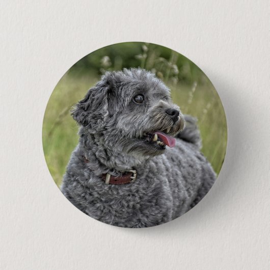 Cute Terrier Dog Ronde Button 5,7 Cm (Voorkant)