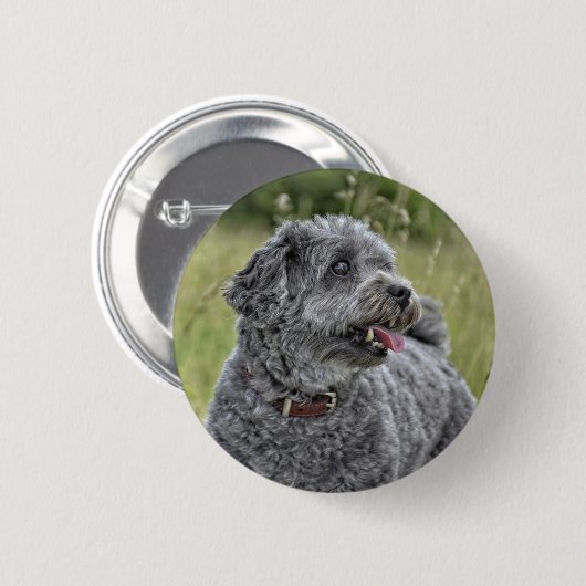 Cute Terrier Dog Ronde Button 5,7 Cm (Voorkant /achterkant)