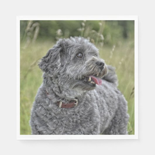 Cute Terrier Dog Servet (Voorkant)