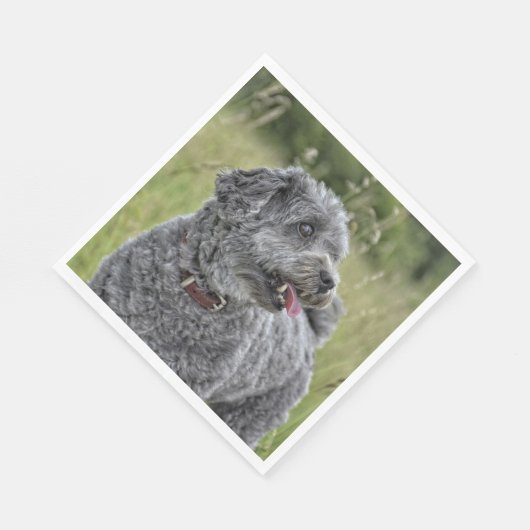 Cute Terrier Dog Servet (Hoek)