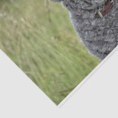 Cute Terrier Dog Tissuepapier (Detail)