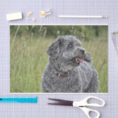 Cute Terrier Dog Tissuepapier (Craft)