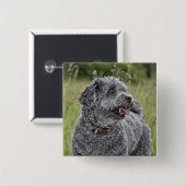 Cute Terrier Dog Vierkante Button 5,1 Cm (Voorkant /achterkant)