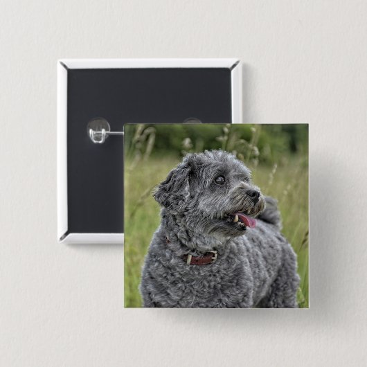 Cute Terrier Dog Vierkante Button 5,1 Cm (Voorkant /achterkant)