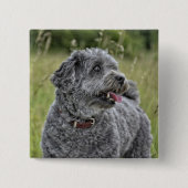 Cute Terrier Dog Vierkante Button 5,1 Cm (Voorkant)