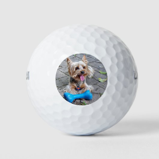 Cute Terrier Golfballen (Voorkant)