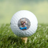 Cute Terrier Golfballen (Insitu Shirt)