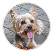 Cute Terrier Keramische Knop (Voorkant)