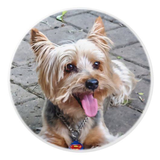 Cute Terrier Keramische Knop (Voorkant)