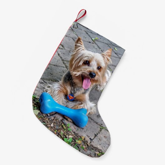 Cute Terrier Kleine Kerstsok (Voorkant (Hangend))