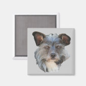 Cute Terrier Mixed Breed Mutt Dog Magnet (Voorkant / Achterkant)