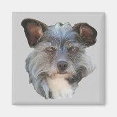Cute Terrier Mixed Breed Mutt Dog Magnet (Voorkant)