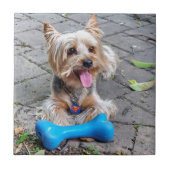 Cute Terrier Tegeltje (Voorkant)