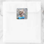 Cute Terrier Vierkante Sticker (Tas)