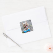 Cute Terrier Vierkante Sticker (Envelop)