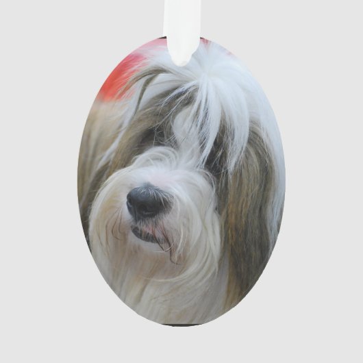 Cute Tibetan Terrier Dog Ornament (achterkant)
