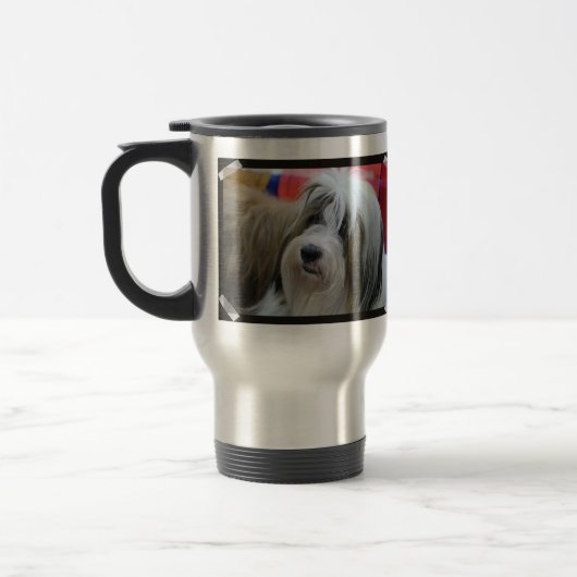 Cute Tibetan Terrier Dog Reisbeker (Links)