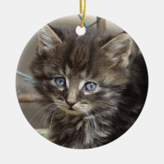 Cute Tiger-Cat Kitten Keramisch Ornament (Voorkant)