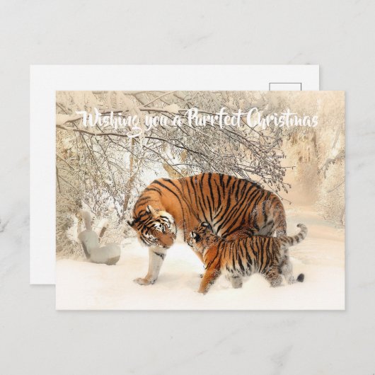 Cute Tiger en Cub - Dranfect met Kerstmis Briefkaart (Voorkant / Achterkant)