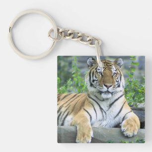 Cute Tiger in gras Sleutelhanger