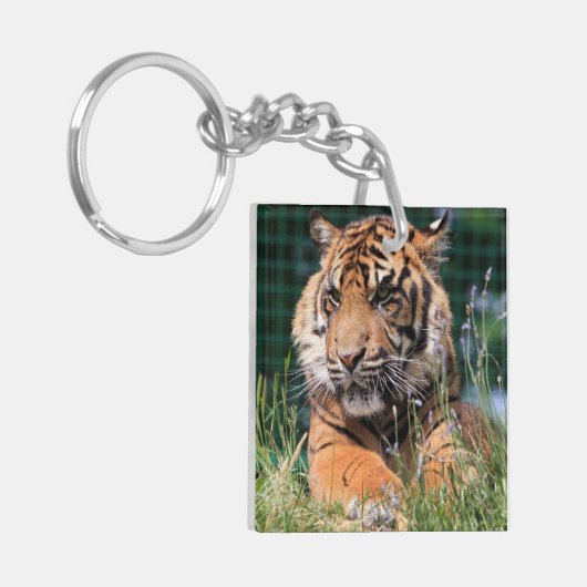 Cute Tiger in gras Sleutelhanger (Voorkant Links)
