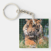 Cute Tiger in gras Sleutelhanger (Voorkant)