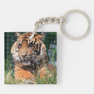 Cute Tiger in gras Sleutelhanger