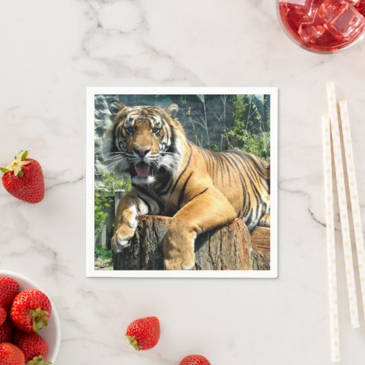 Cute Tiger Servet (Insitu)