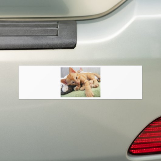 Cute Tiger Stripe Kitten Bumpersticker (Op auto)