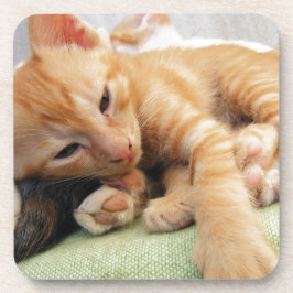 Cute Tiger Stripe Kitten Drankjes Onderzetter