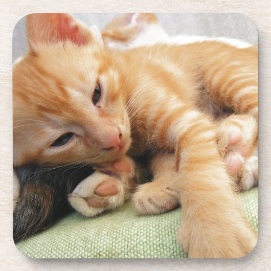 Cute Tiger Stripe Kitten Drankjes Onderzetter (Voorkant)