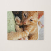 Cute Tiger Stripe Kitten Legpuzzel (Horizontaal)