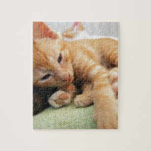 Cute Tiger Stripe Kitten Legpuzzel
