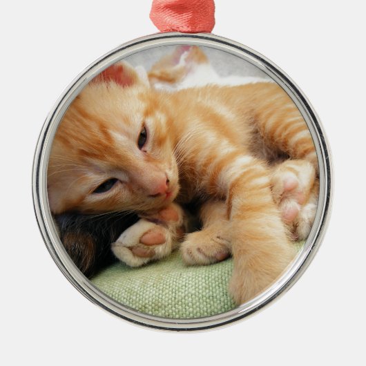 Cute Tiger Stripe Kitten Metalen Ornament (Voorkant)