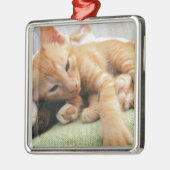 Cute Tiger Stripe Kitten Metalen Ornament (Links)
