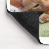 Cute Tiger Stripe Kitten Muismat (Hoek)